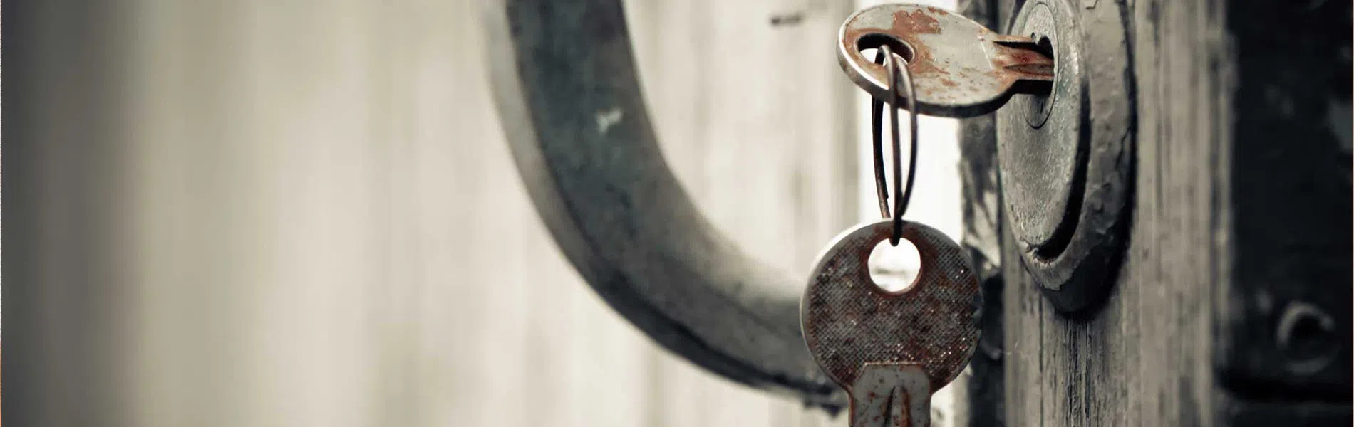 #bslide2 logo-image - banner-2